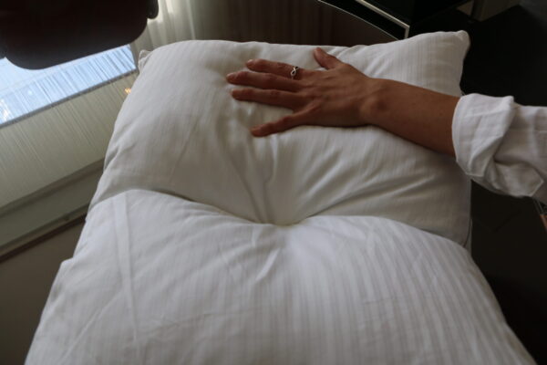Tryrest Pillow - Image 8