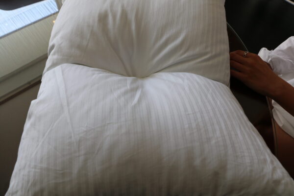 Tryrest Pillow - Image 4
