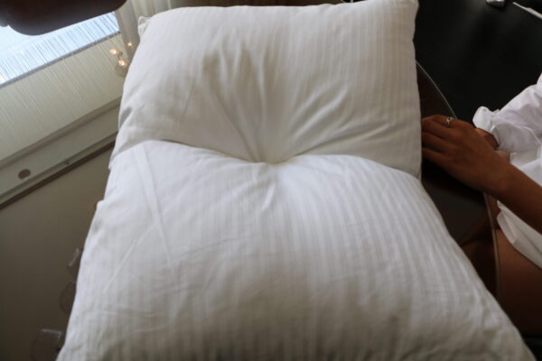 Tryrest Pillow - Image 3